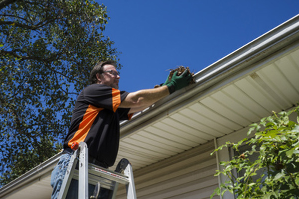 Gutter Cleaning