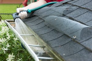 Gutter Cleaning