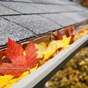 Cluttered Gutter